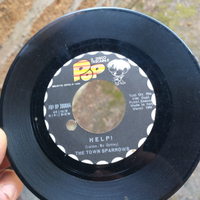 Vinile 45 giri beatles