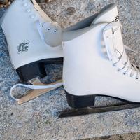 pattinaggio sul ghiaccio 