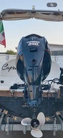 Evinrude 250 HO