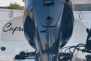 Evinrude 250 HO