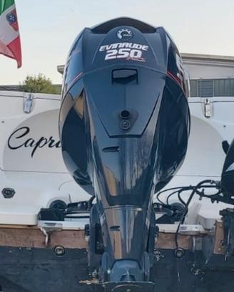 Evinrude 250 HO