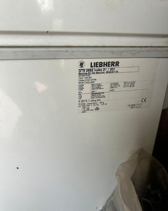 Congelatore pozzetto LIEBHERR GTS 2682