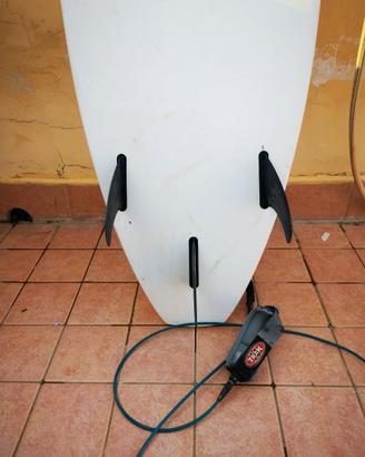 Tavola surf bic