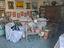 Immagine 25
