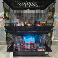 Criceto siriano + gabbia grande 2 piani + cibo