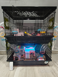 Criceto siriano + gabbia grande 2 piani + cibo