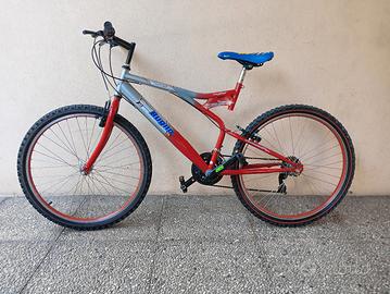 bicicletta 