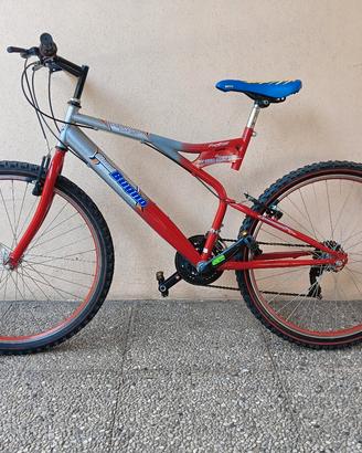 bicicletta 