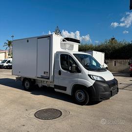 Peugeot Boxer 5 epal frigo carrier