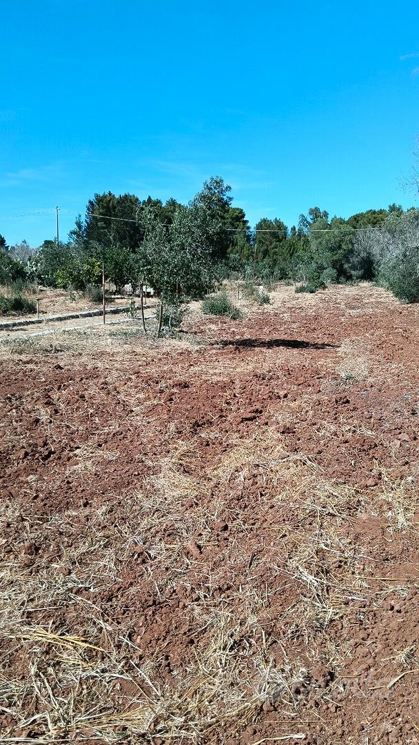 Terreno agricolo - Vista 5