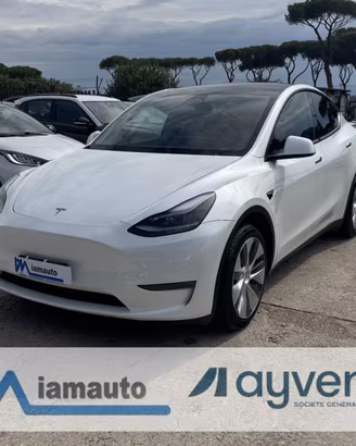 TESLA Model Y LONG RANGE AWD Dual Motor 350Kw