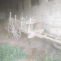 carro buoi