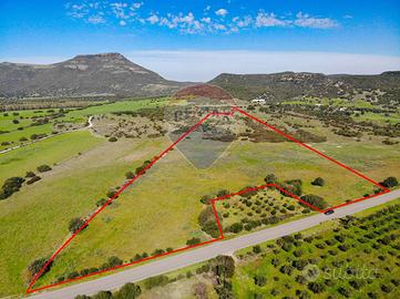 Terreno - Villaperuccio