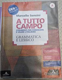 A tutto campo - Grammatica e lessico