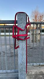 Capezze da paddock