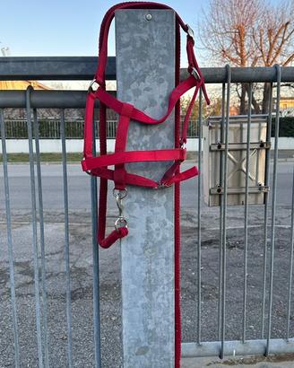 Capezze da paddock