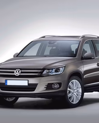 VOLKSWAGEN Tiguan 2.0 TDI 110CV Business Sport &