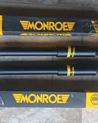 Ammortizzatori posteriori nuovi