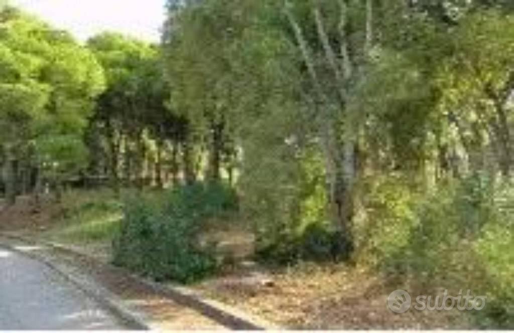 Immobile in asta di 2544 m² a Taranto - Vista 5