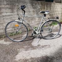 Bicicletta Adriatica Trend