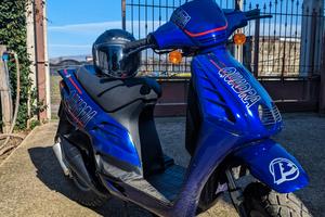 beta quadra 50 cc