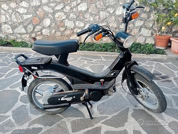 Grillo Piaggio 50 cc