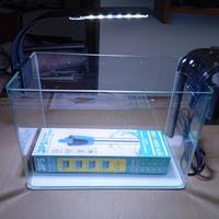 Acquario x Betta