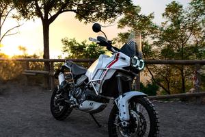 ducati desert x