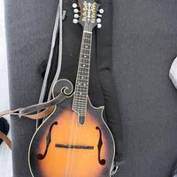 MANDOLINO ASHBURY GR31027 Am-310