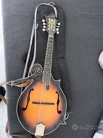 MANDOLINO ASHBURY GR31027 Am-310