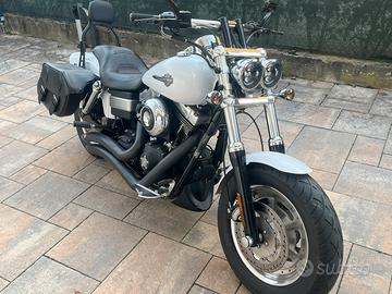 Harley Fat Bob