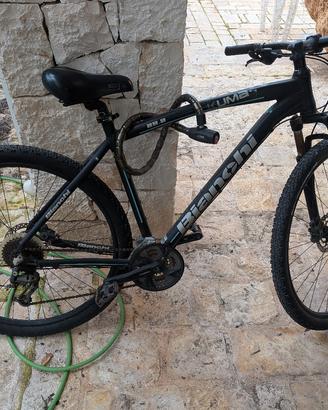 Bianchi Kuma usata
