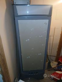 Freezer ad armadio professionale