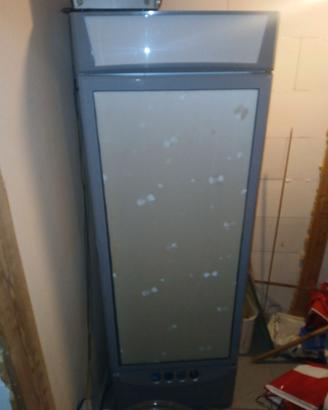 Freezer ad armadio professionale