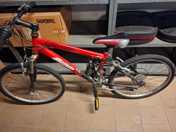 Bicicletta 24