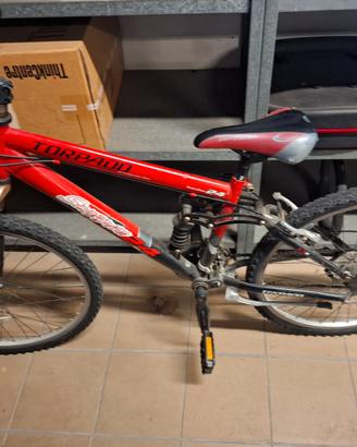 Bicicletta 24