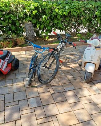 biciclette e motorini elettrici