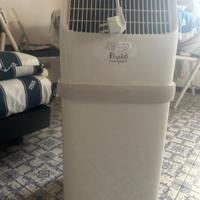 Climatizzatore portatile pinguino De Longhi