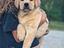 Immagine 7