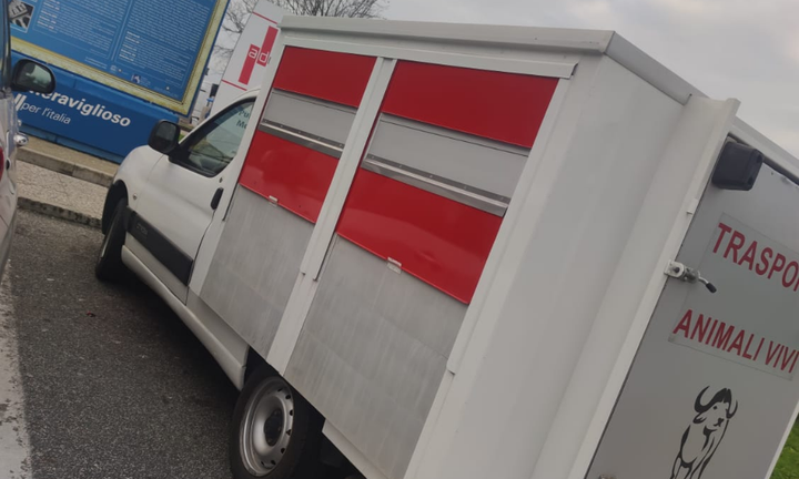Trasporto animali