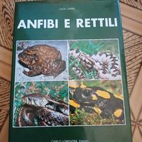 Anfibi e rettili - Luca Lapini 1983