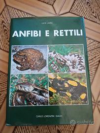 Anfibi e rettili - Luca Lapini 1983