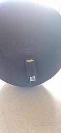 Fitball Technogym