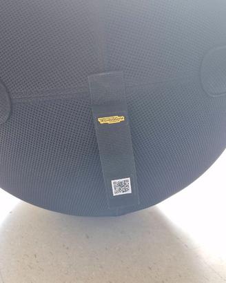 Fitball Technogym