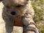 Immagine 4