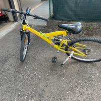 Bicicletta