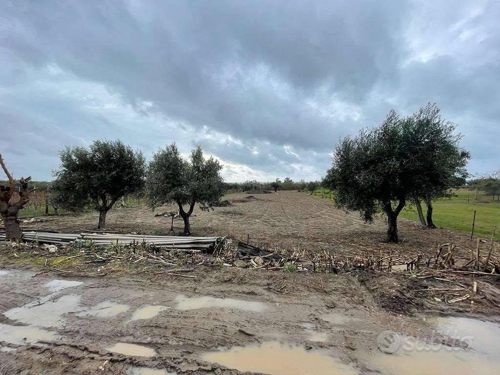 Terreno di 3550 m² a Mondragone - Altro