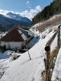 Rustico con ampio terreno