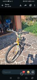 Mountain bike usata