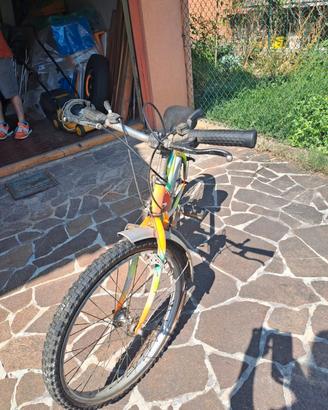 Mountain bike usata